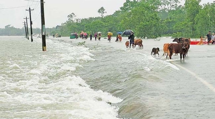 ভারী বৃষ্টিপাত, সিলেটের তিন জেলায় বন্যার পূর্বাভাস