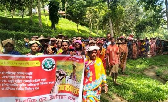 সিলেটে ৫০০ টাকা মজুরির দাবিতে চা শ্রমিকদের কর্মবিরতি